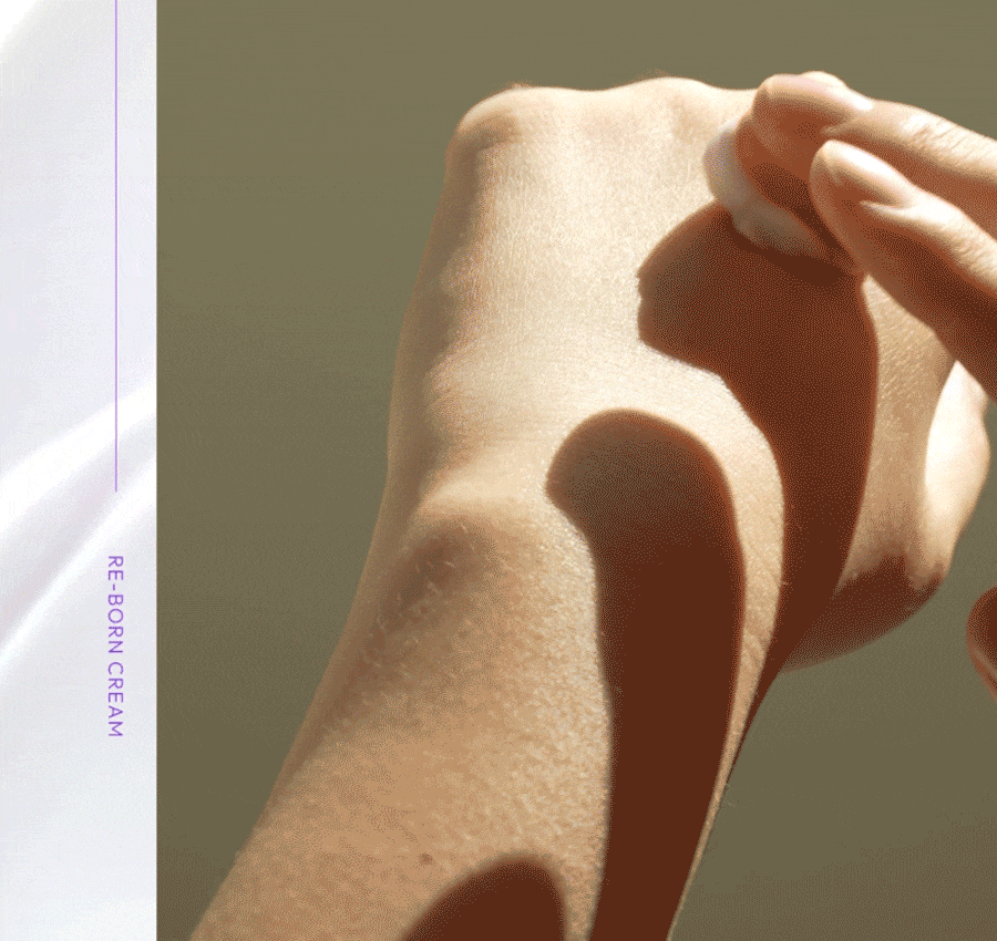 Rbfy. REBORN CREAM 80ml