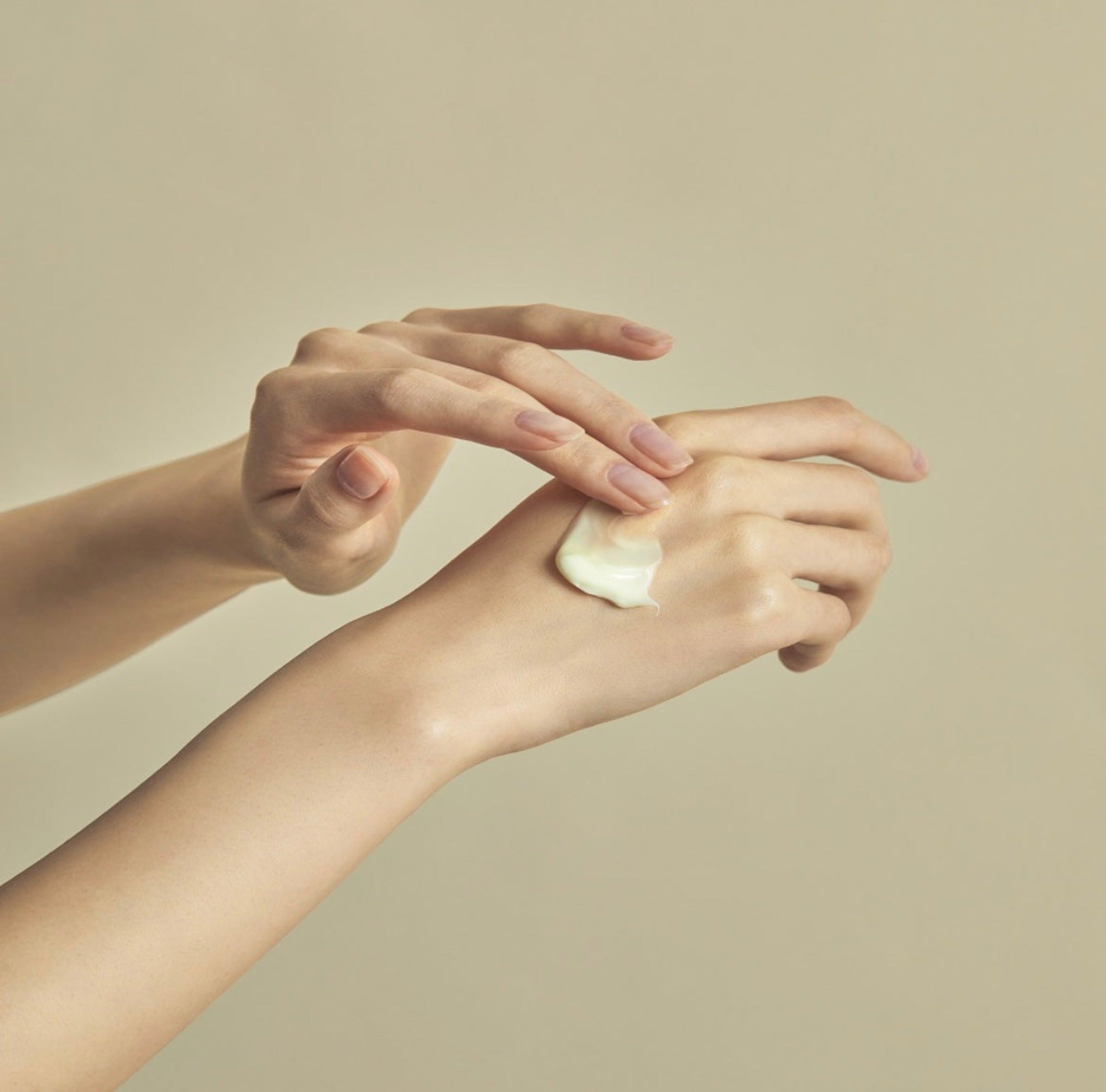 2025 [RENEWAL] Torriden SOLID IN Ceramide Cream 70ml